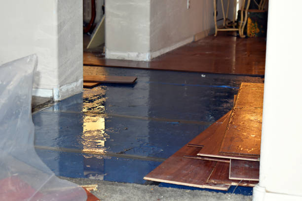 Professional Flood Cleanup technician working in Elizabeth, NJ