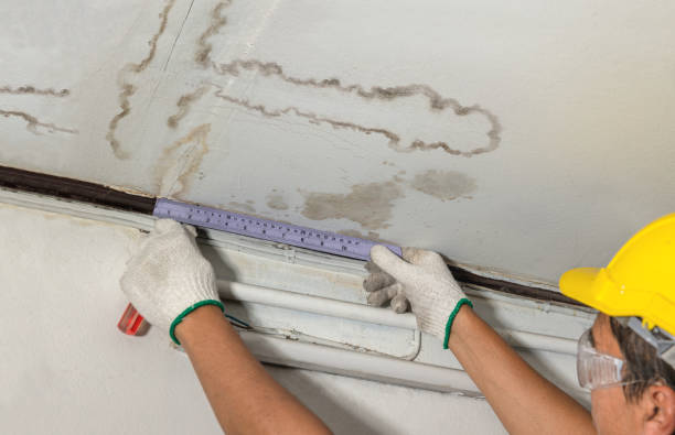 Reliable Flood Cleanup contractor in Elizabeth, NJ by Water Damage Irwin